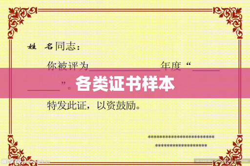 各类证书样本