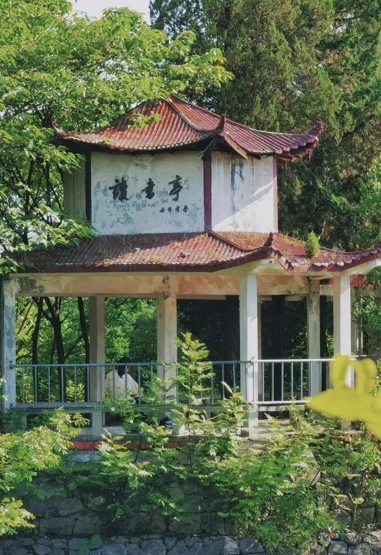 安徽大学(安徽大学是985还是211)