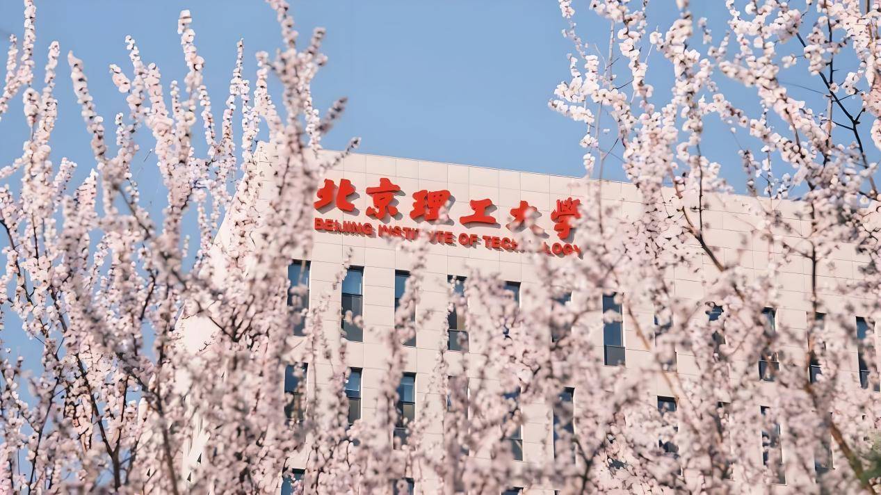 北京理工大学(北京理工大学中外合作办学项目)