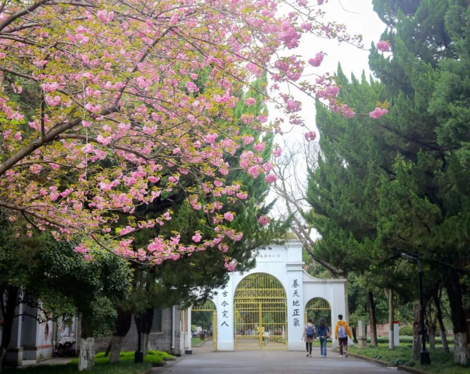 苏州大学(苏州大学在职研究生)