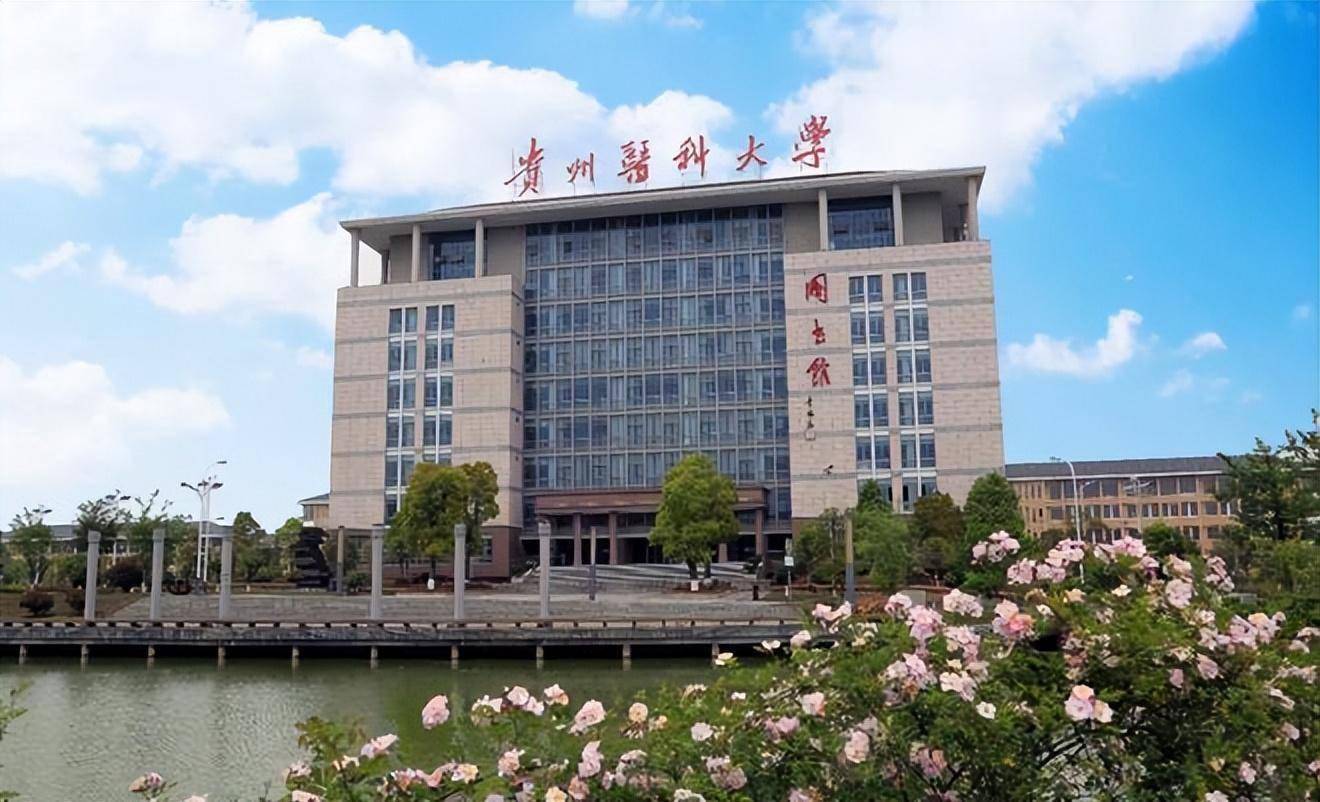 贵州大学(贵州大学录取分数线2024)