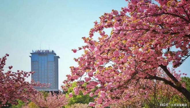 南京航空航天大学(南京航空航天大学教务管理系统)