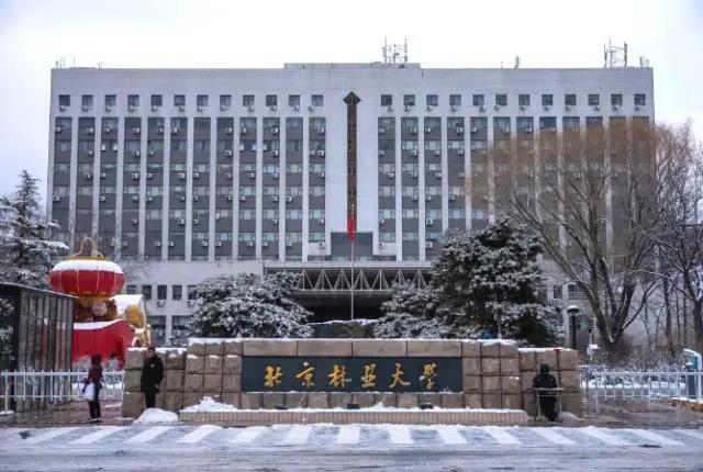 北京林业大学(北京林业大学官网)