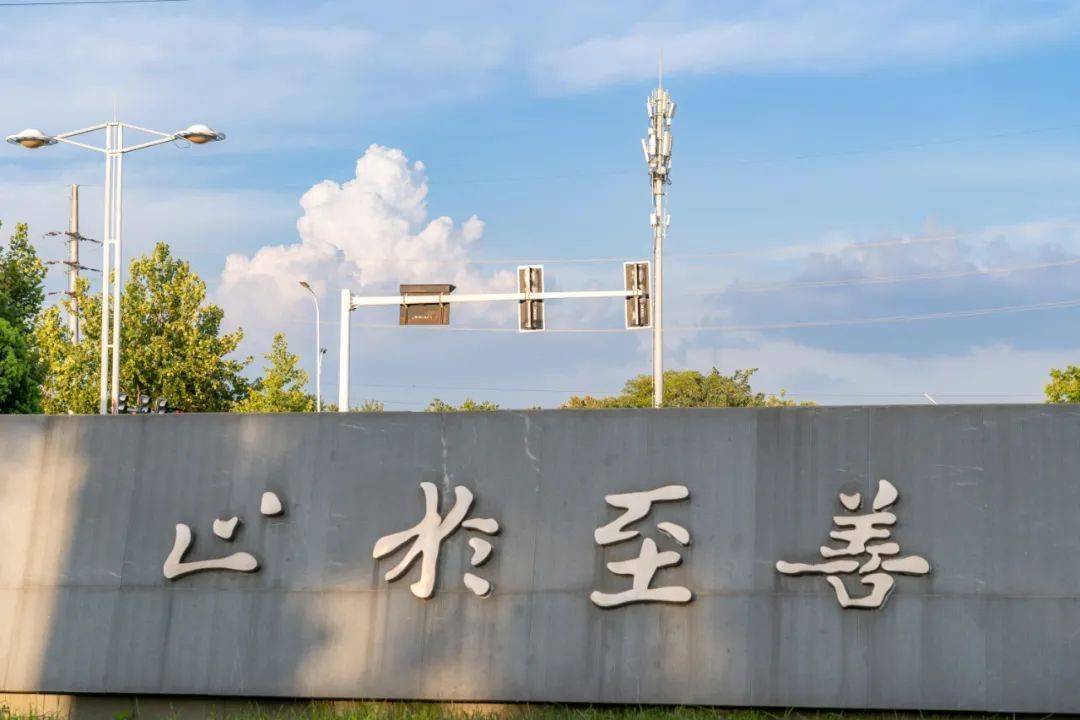 东南大学文凭(东南大学文凭硬吗)