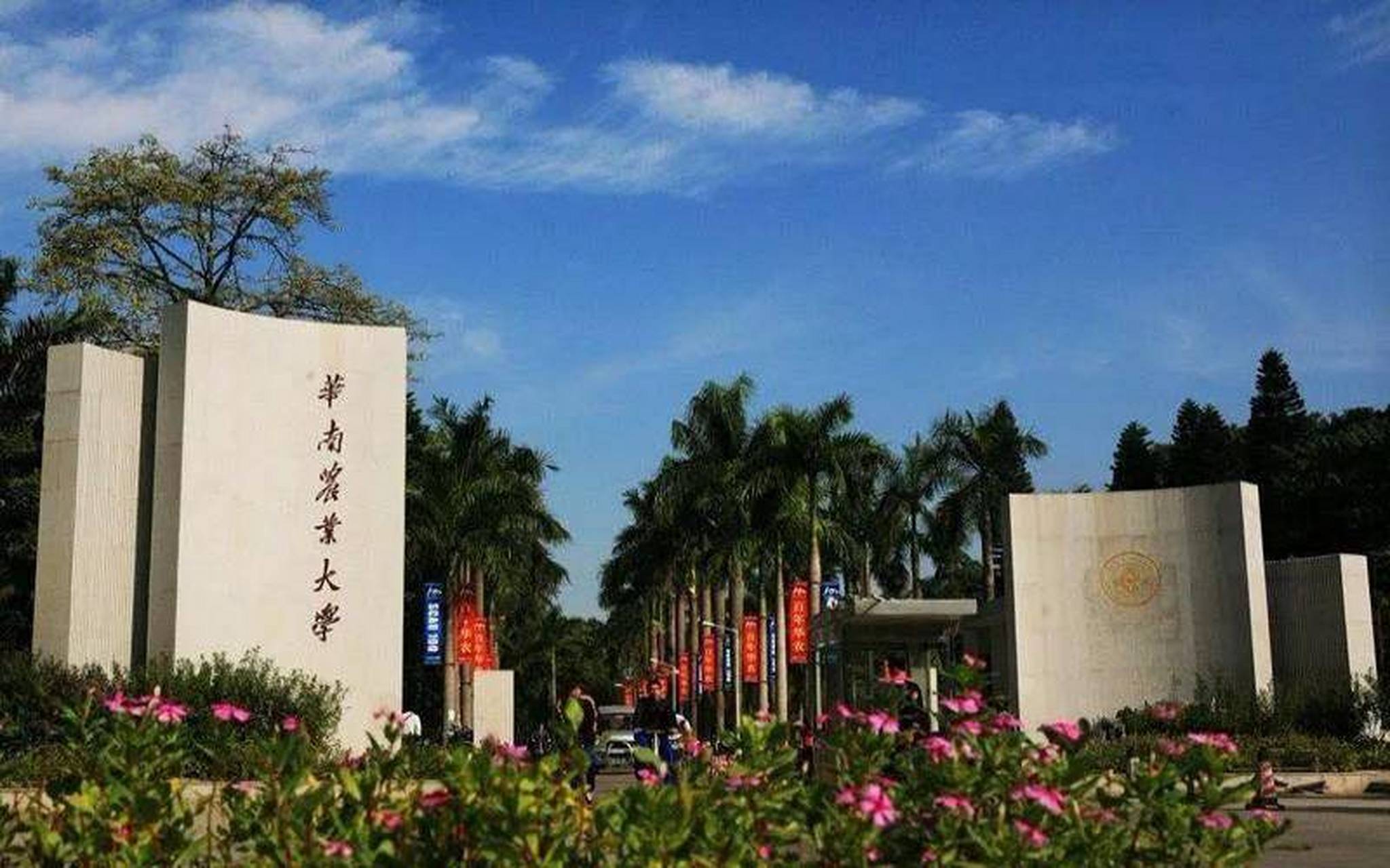 华南农业大学(华南农业大学考研分数线)