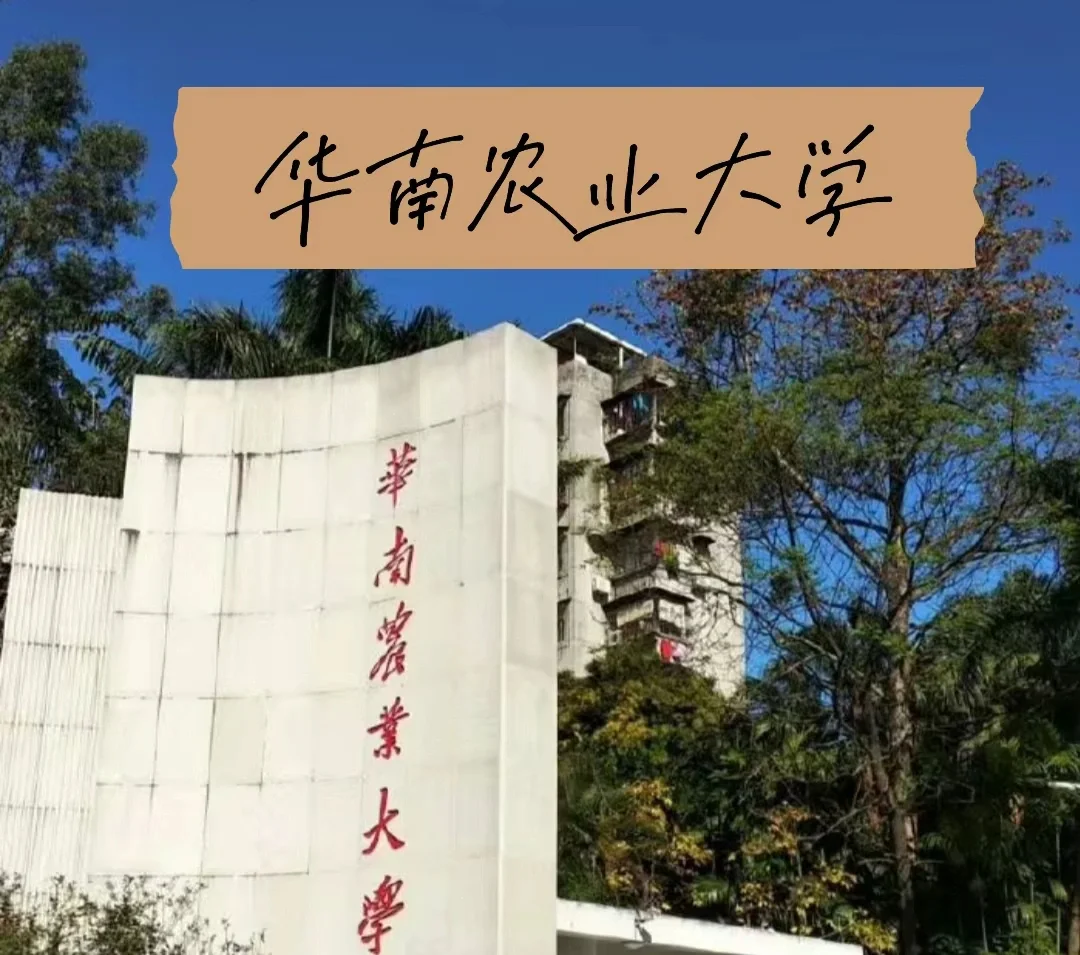 华南农业大学(华南农业大学考研分数线)