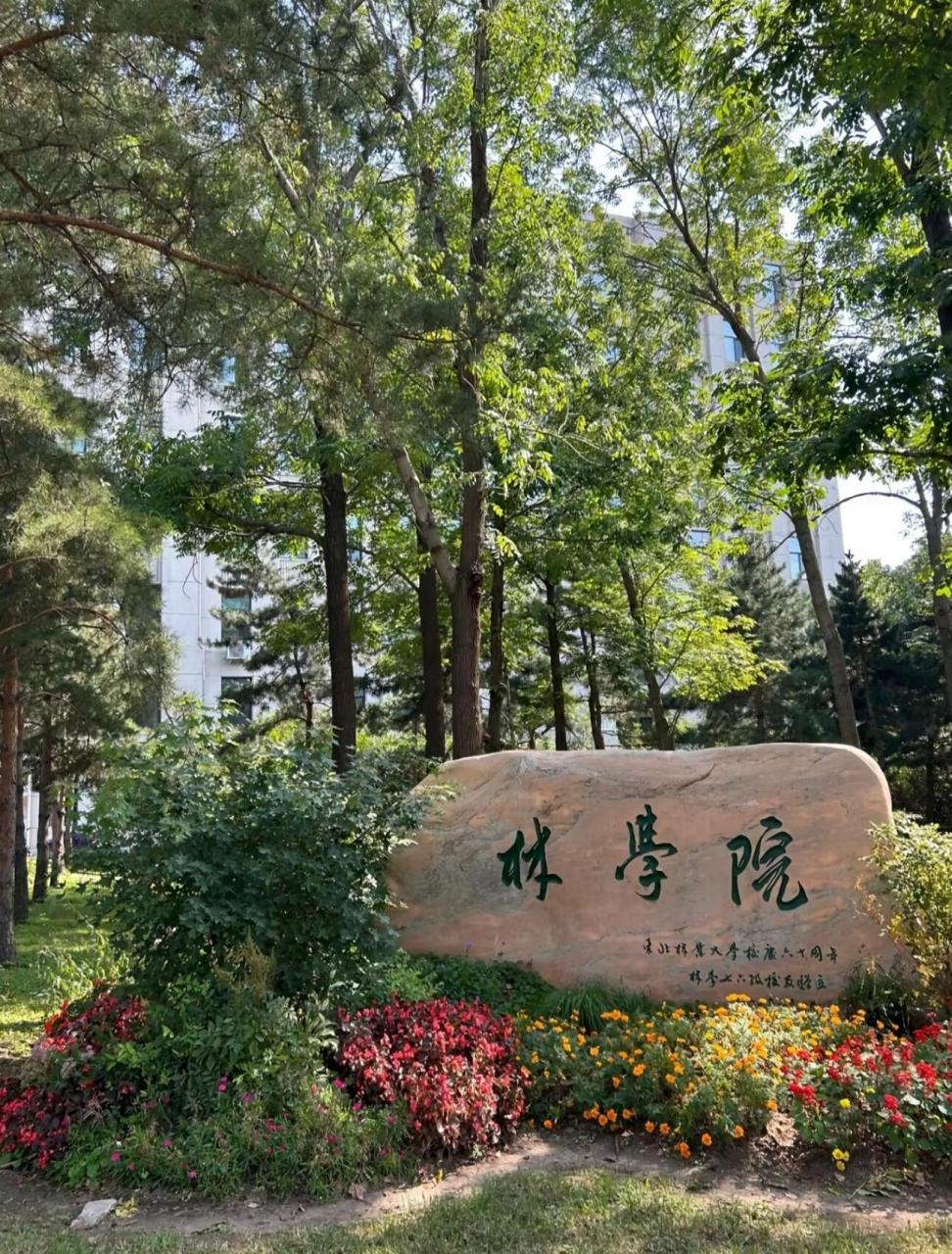 东北林业大学(东北林业大学研究生院)