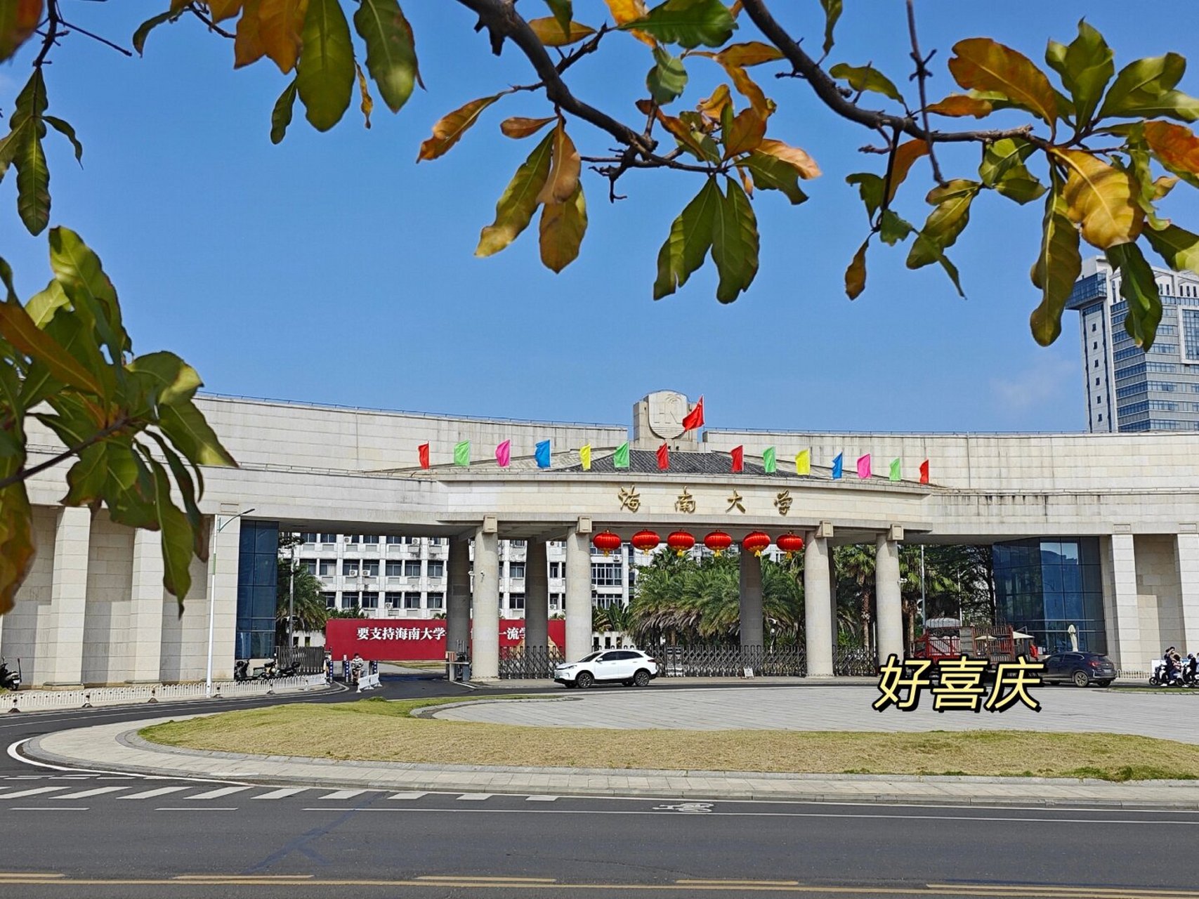 海南大学(海南大学有哪些大学)