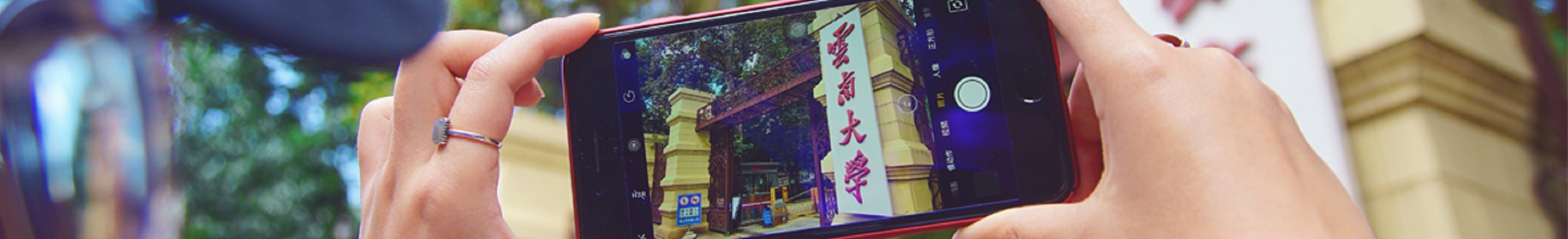 云南大学毕业证查询系统