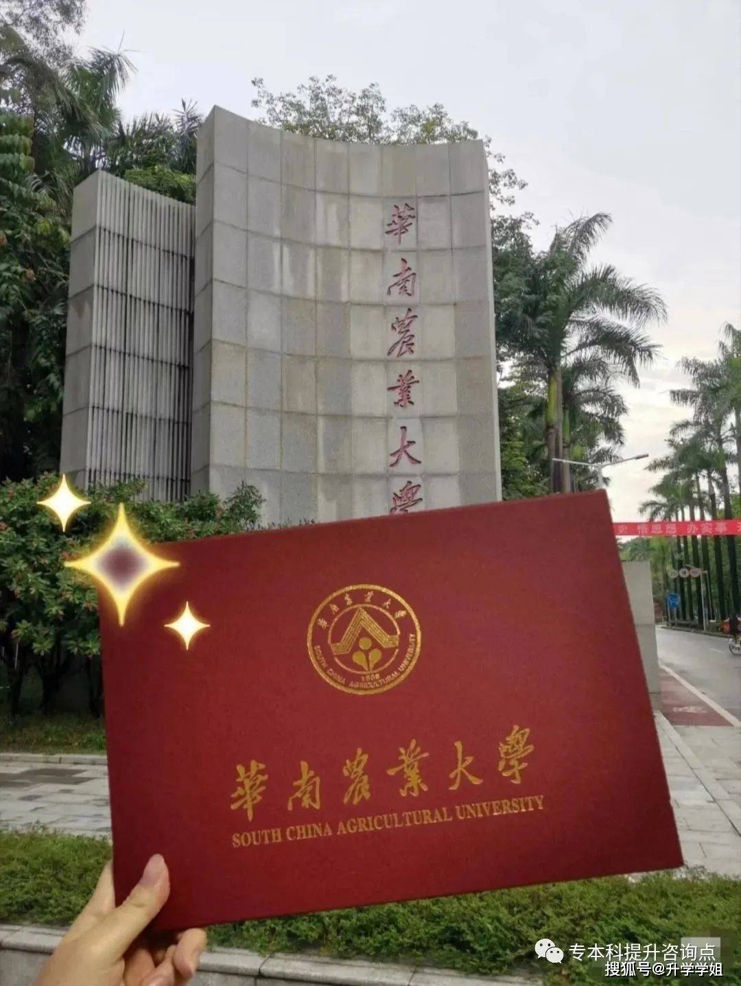 中山大学文凭含金量高吗