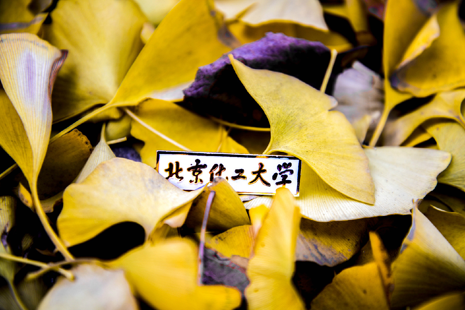北京化工大学文凭好考吗
