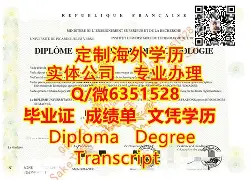 西南大学文凭编号一览表